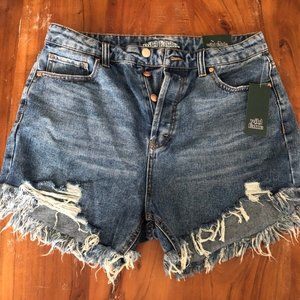 High Waited Denim Shorts Distressed